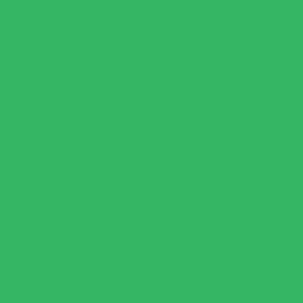 Daler Rowney, FW, Acrylic Ink, 1oz, Fluorescent Green